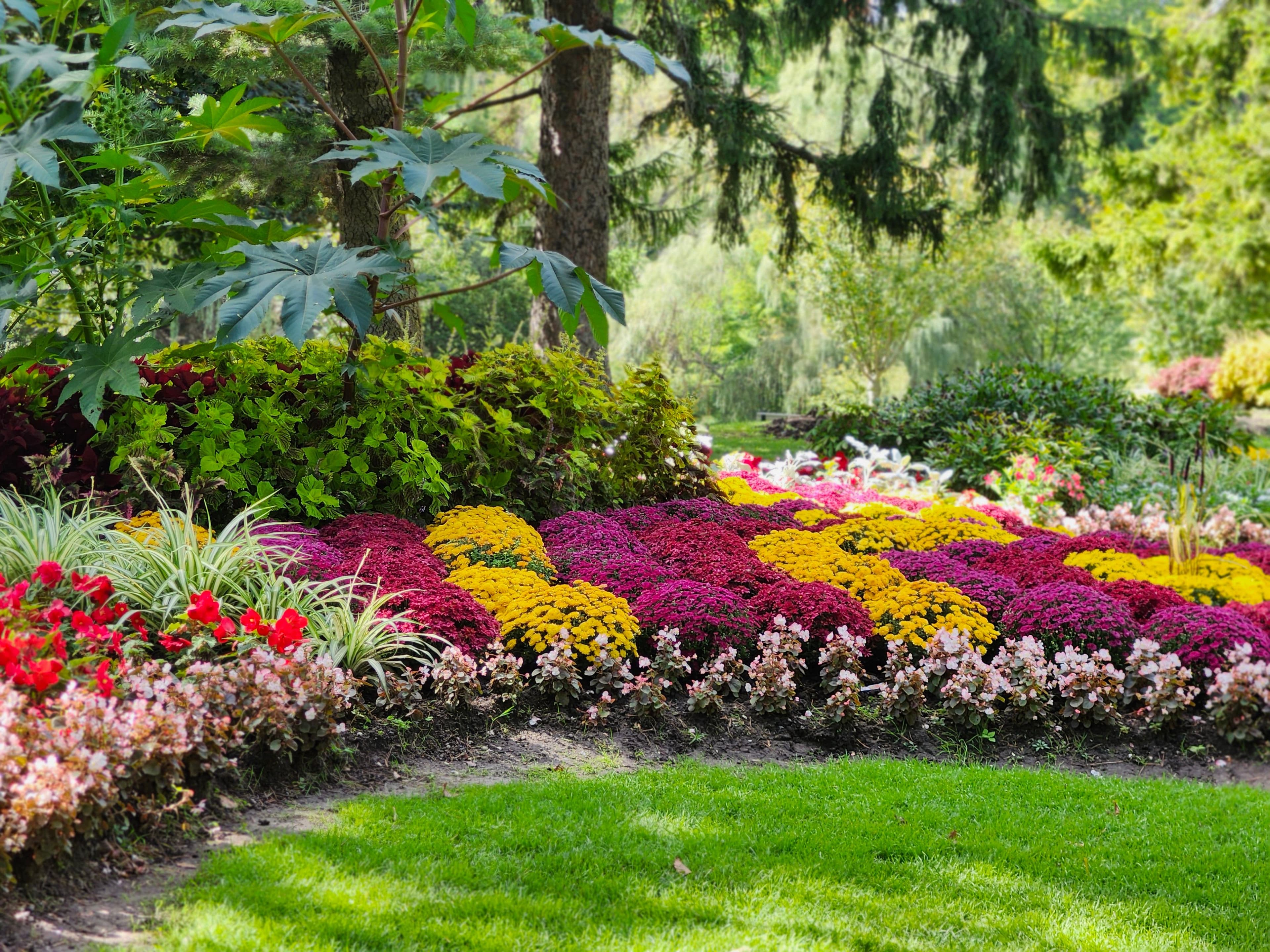 Completed landscape project by Thornhill & Vine