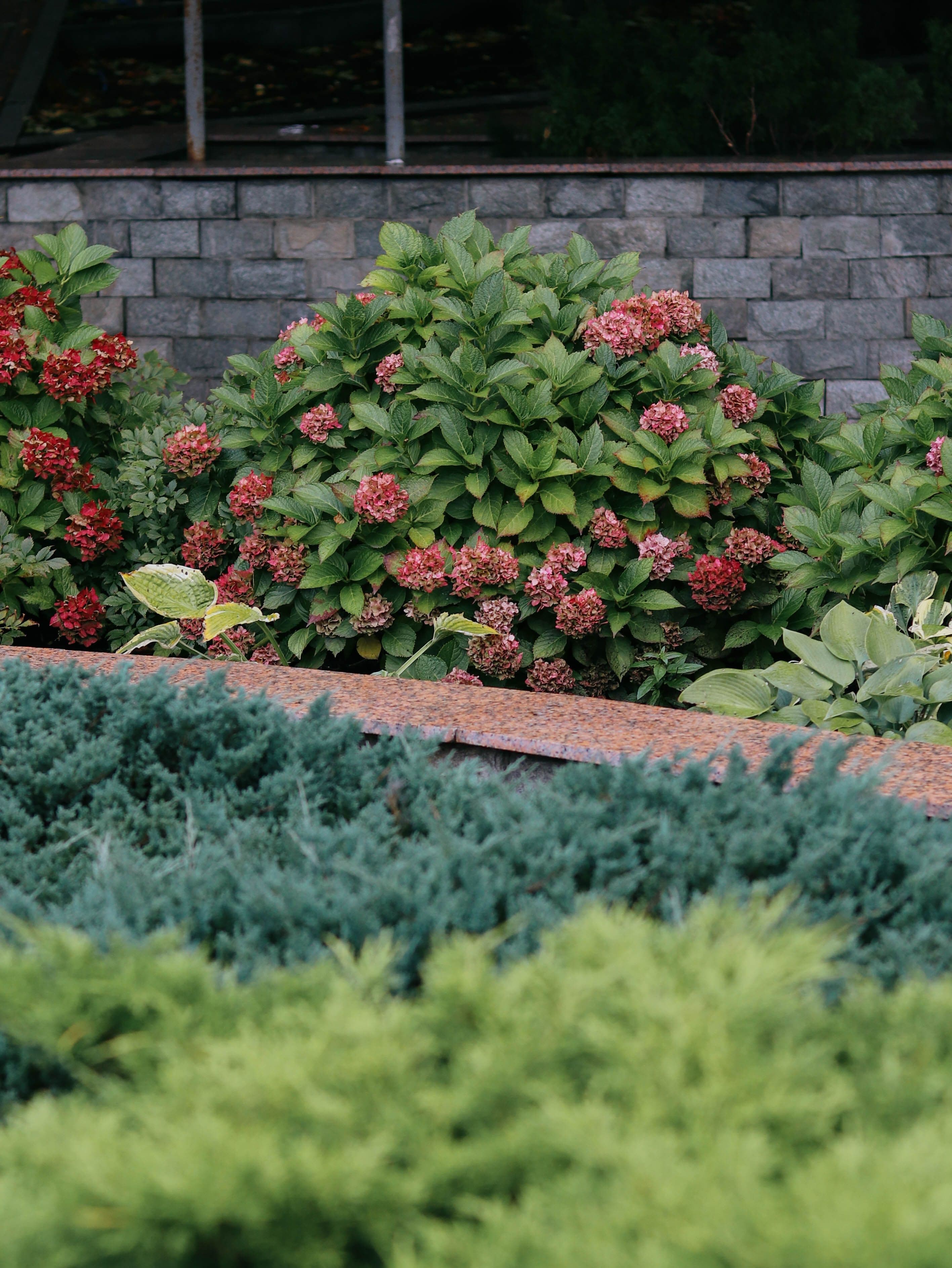 Completed landscape project by Thornhill & Vine